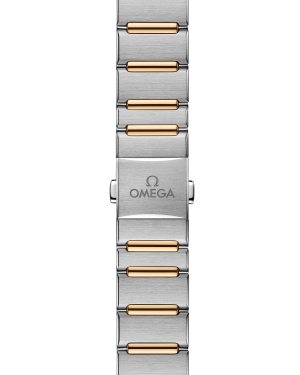 omega-constellation-co-axial-master-chronometer-29-mm-13120292053001-portrait-2-311a93.png