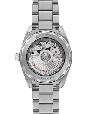 omega-seamaster-aqua-terra-150m-co-axial-master-chronometer-38-mm-22010382003002-portrait-1-9733d7.png